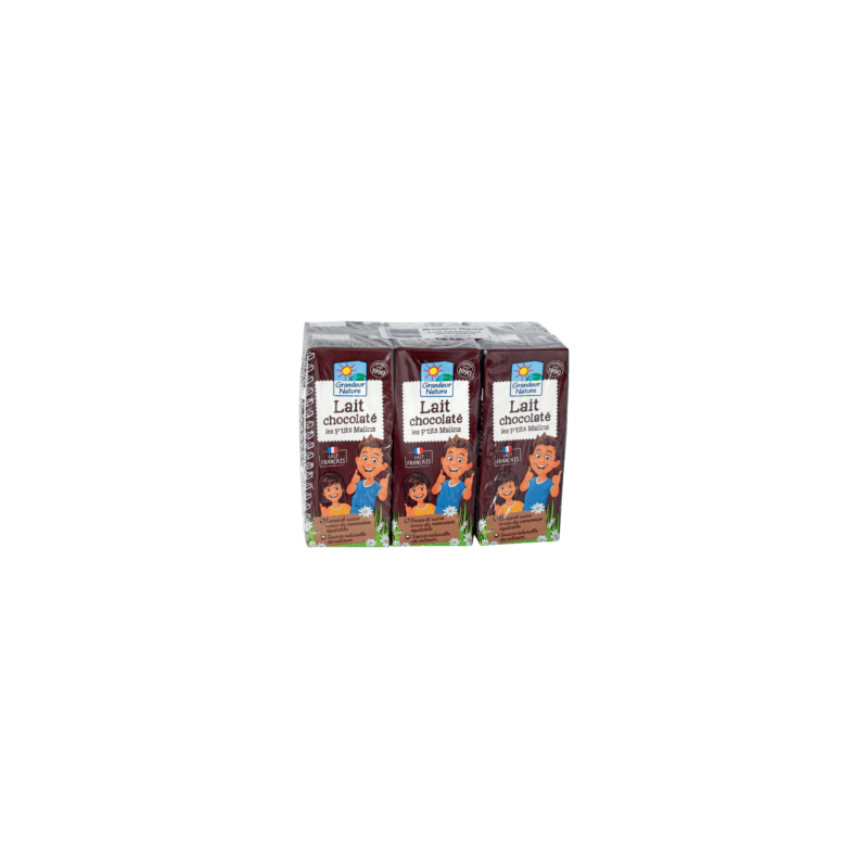Lait UHT chocolaté briquette | Magasin d'usine Sill Lait UHT chocolaté briquette | Magasin d'usine Sill