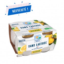 Spécialité laitière délactosée citron | Magasin d'usine Sill