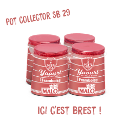 Yaourt framboise pot collector sb 29