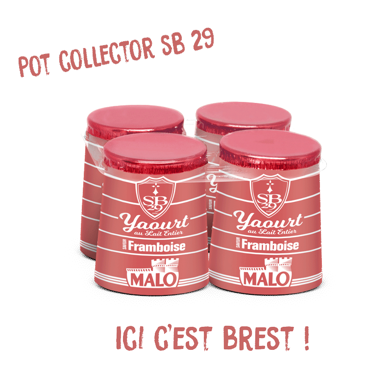 Yaourt framboise pot collector sb 29